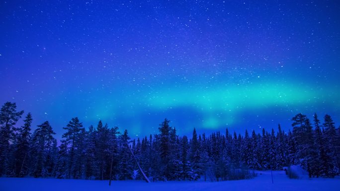 冬季森林上空的北极光。时间推移