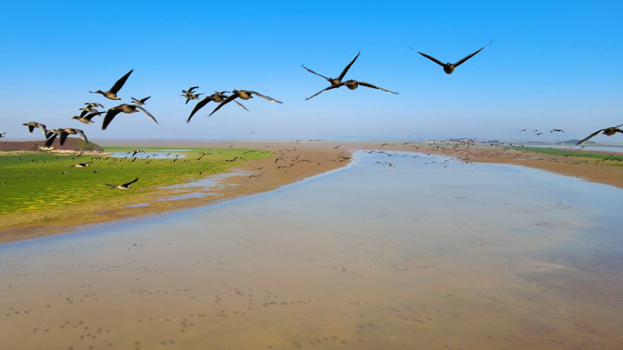 4K航拍鄱阳湖国家级自然保护区