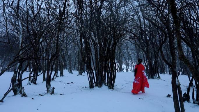 林中雪地古装美女渐行渐远脚步匆匆