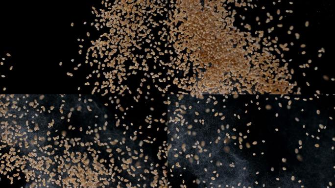 麦粒在空气中碰撞食材粮食升格激发稻谷