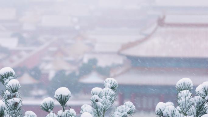 4K拍摄北京故宫雪景