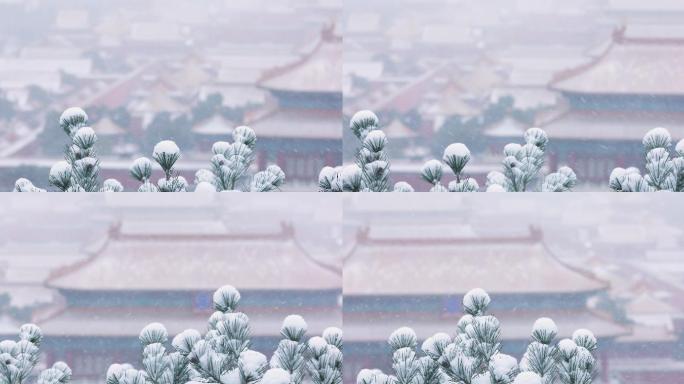 4K拍摄北京故宫雪景