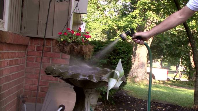 清洁鸟浴实拍视频素材清理保洁卫生水管