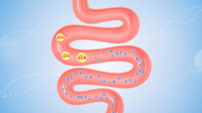 益生菌助吸收 肠道健康