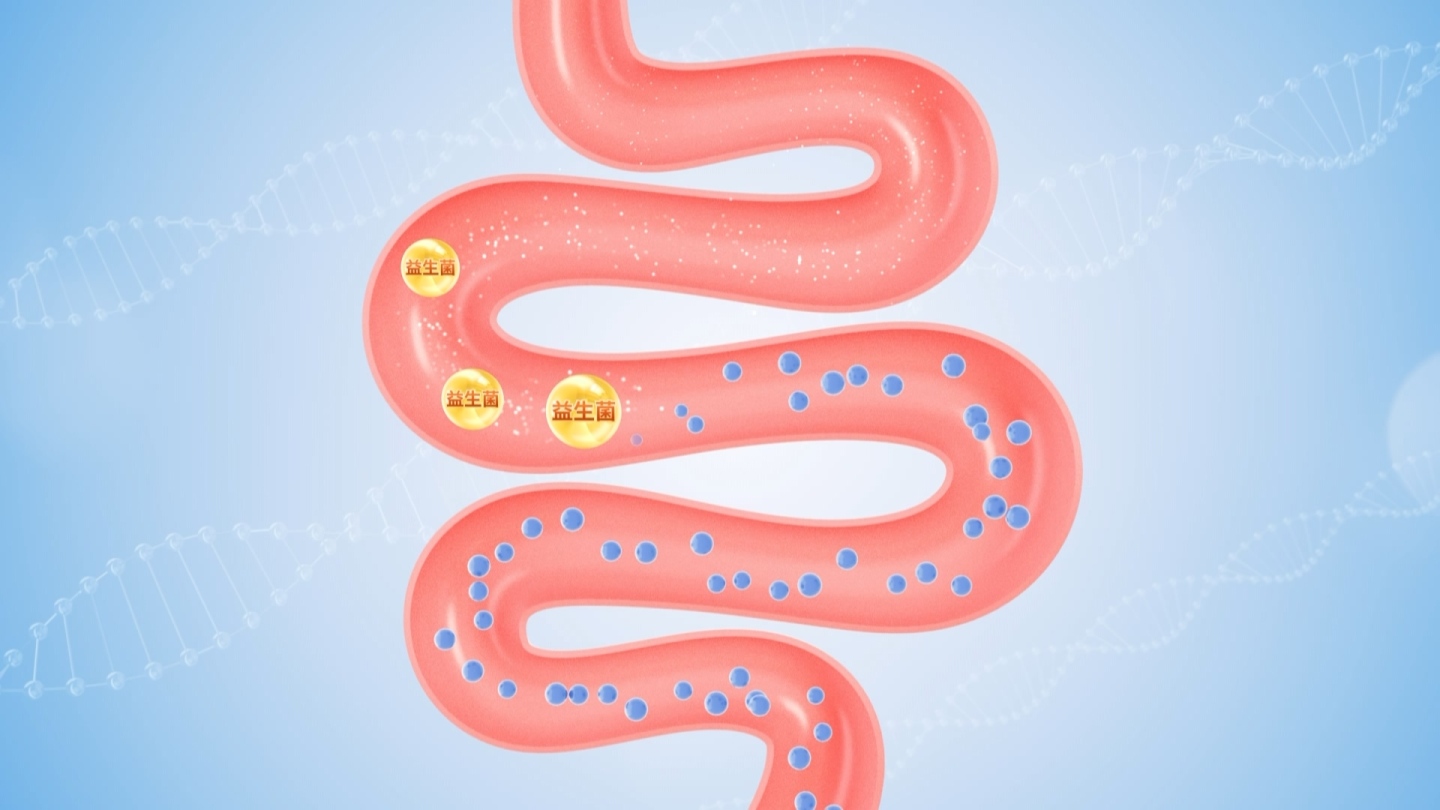 益生菌助吸收 肠道健康