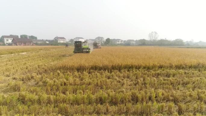 农民用农机机械收割示范田粮食航拍