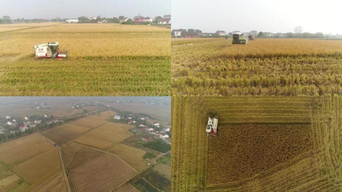 农民用农机机械收割示范田粮食航拍
