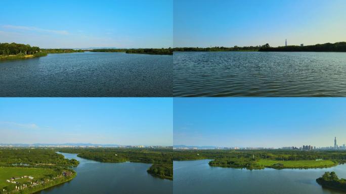 成都清澈的蓝天白云青龙湖湿地公园城市水域