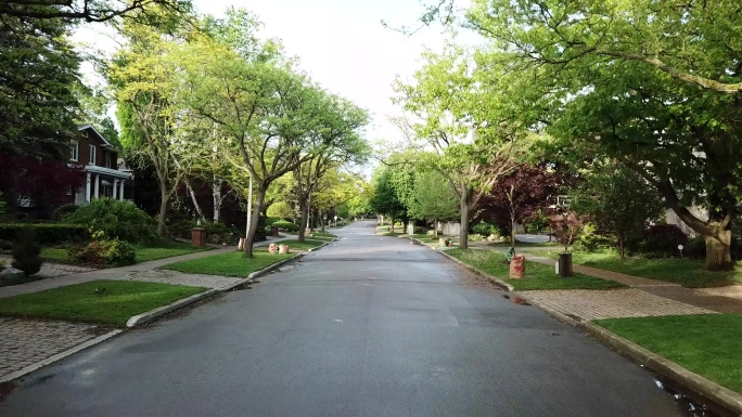 多伦多街景林荫大道干净整洁的道路