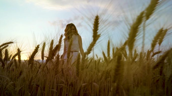 年轻浪漫女人穿过成熟的小麦穗