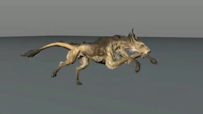 C4D3d动画绑定模型影视动物
