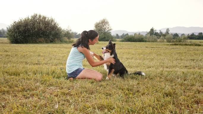 边境牧羊犬和女主人击掌