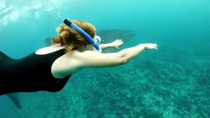 女士与鲸鲨在热带海洋浮潜