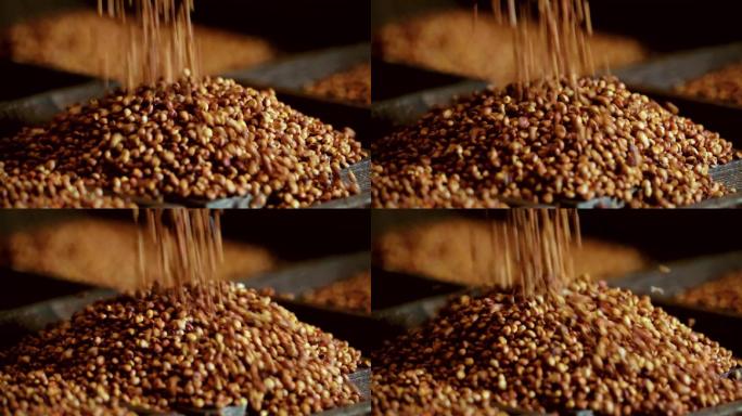 大丰收高粱米粒滑落五谷杂粮素材酿酒原料