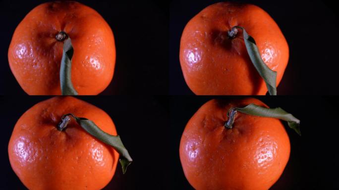 秋冬水果橙子维生素 (4)