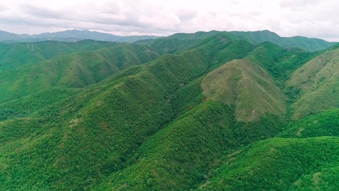 航拍大山中的森林