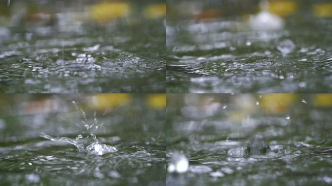 水面雨滴水滴落水