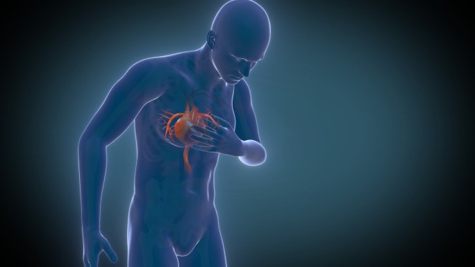 心脏病 心脏 人体器官  心脏系统