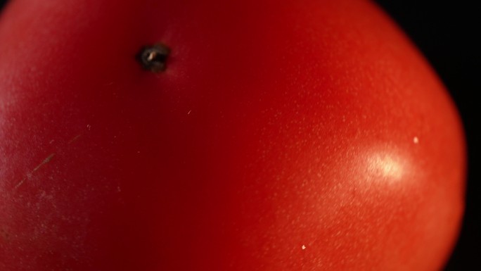 黑场整个番茄表皮 (4)