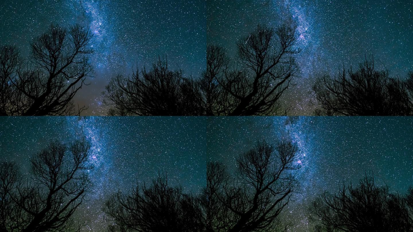 星空银河背景枯树前景延时摄影