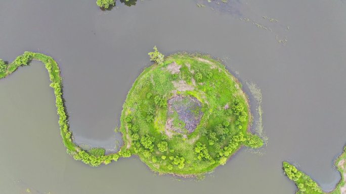 航拍辽河湿地公园