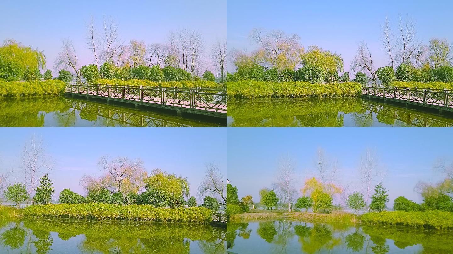 4k冬天武汉杜公湖湿地公园木桥池塘风光