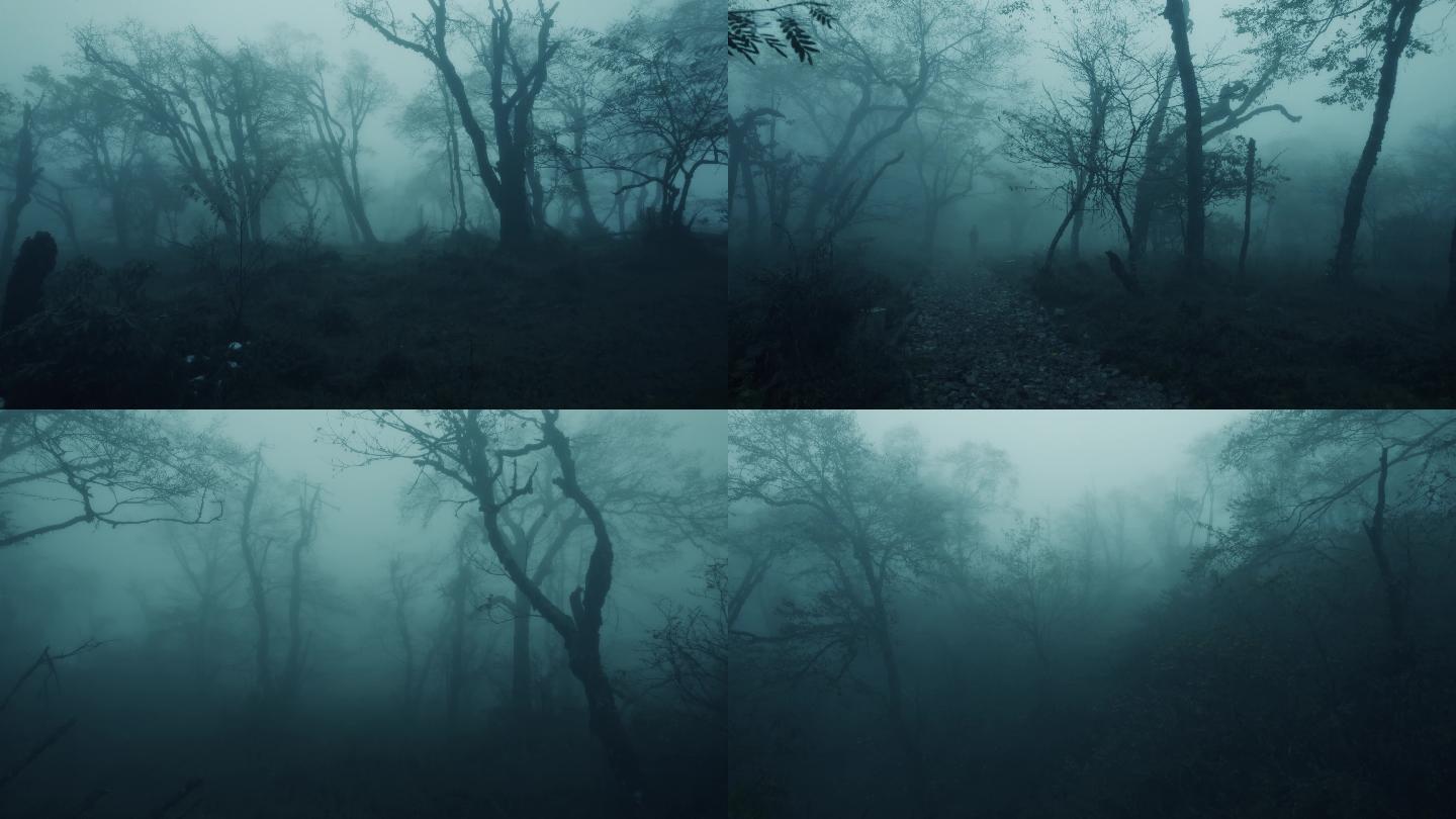 丛林迷雾5K 01