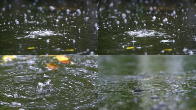 下雨水面水滴波纹涟漪