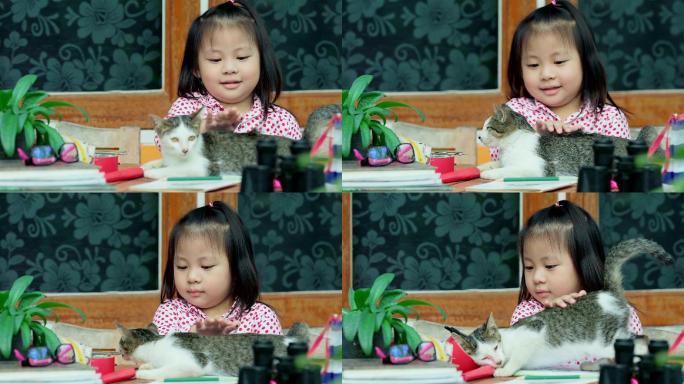 有趣可爱的小女孩在玩猫