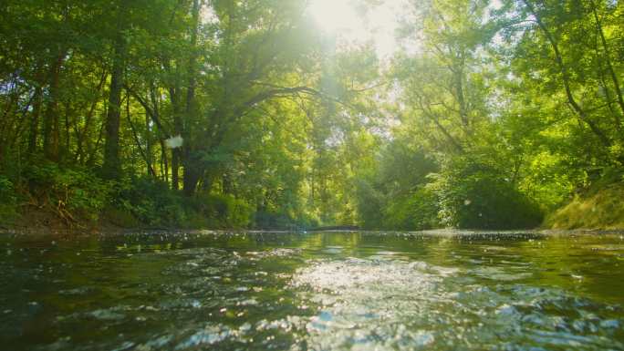 森林里的小溪大美风光美丽风景