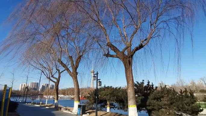 城市公园 冬天河湖风景