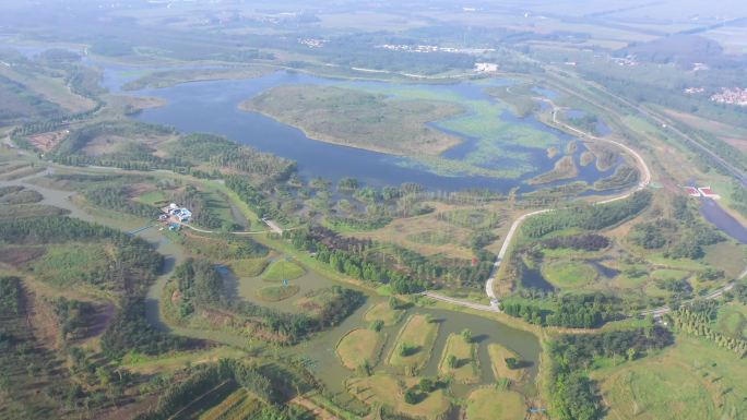 4k航拍齐河黄河水乡国家湿地公园