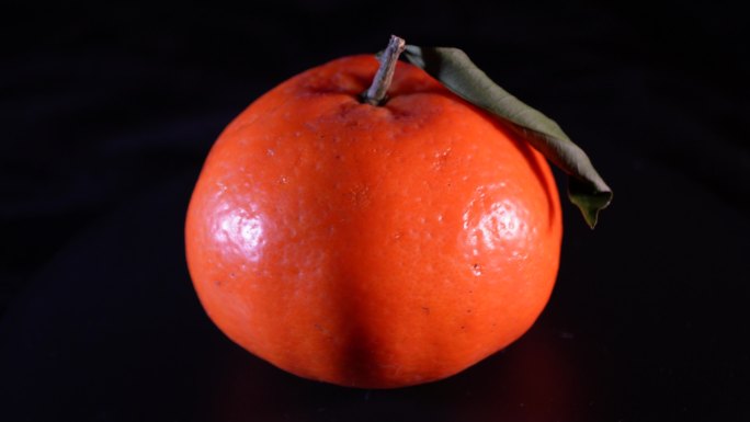 水果橘子橙子 (6)