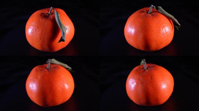 水果橘子橙子 (6)