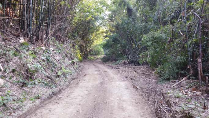 山里的泥路