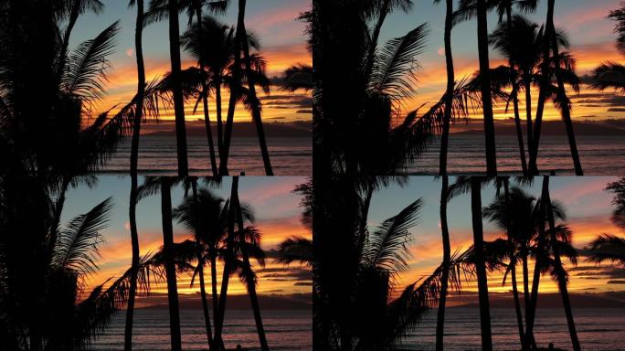 夏威夷毛伊岛的热带海滩日落