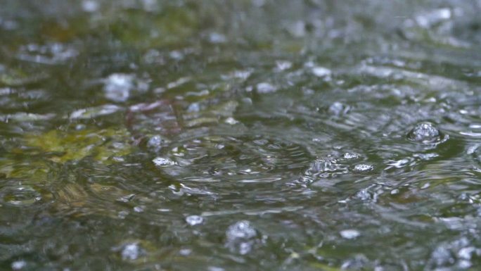 雨水落在水面上特写