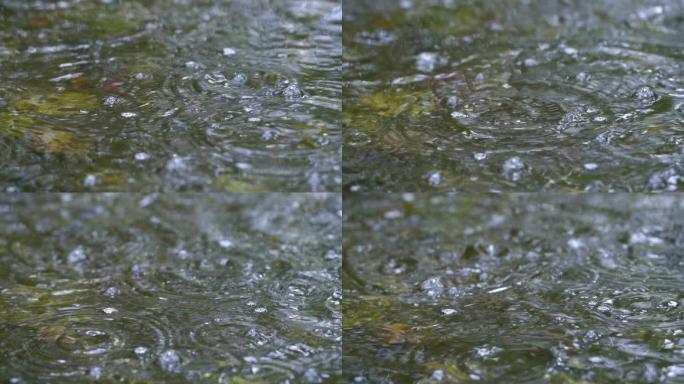 雨水落在水面上特写