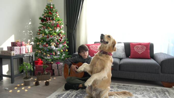 一个男孩在家里和他的狗一起练习吉他。