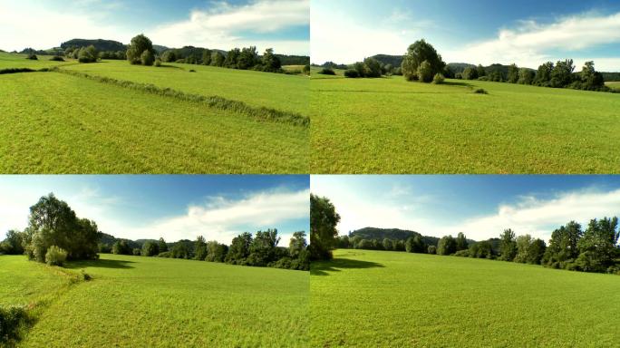 农村绿色草地的空中拍摄。
