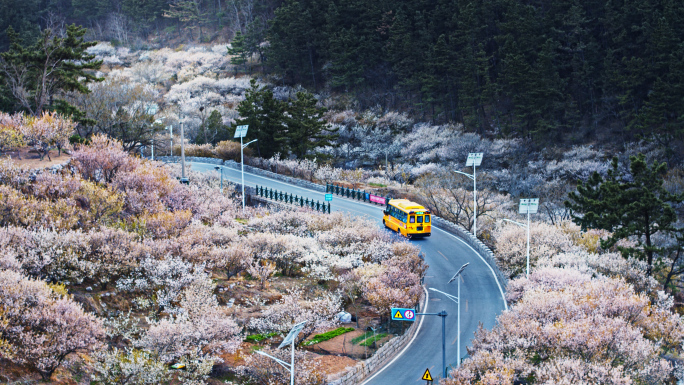 山路校车航拍