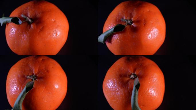 秋冬水果橙子维生素 (5)