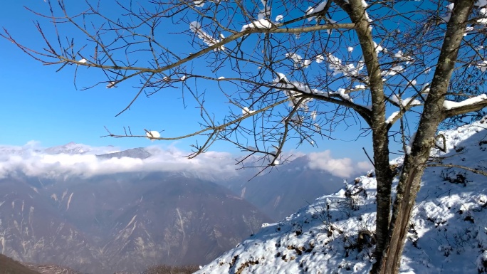 川西高原阿坝雪山树木雪景茂县九鼎山云海