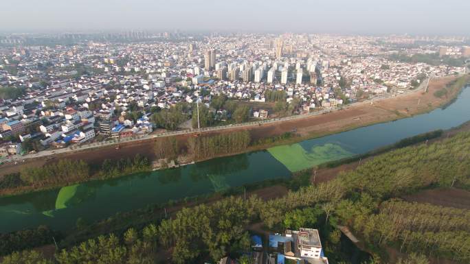 太康县涡河绿色的河水