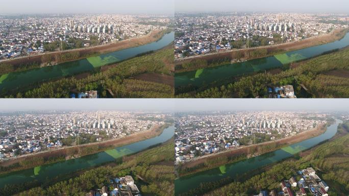 太康县涡河绿色的河水