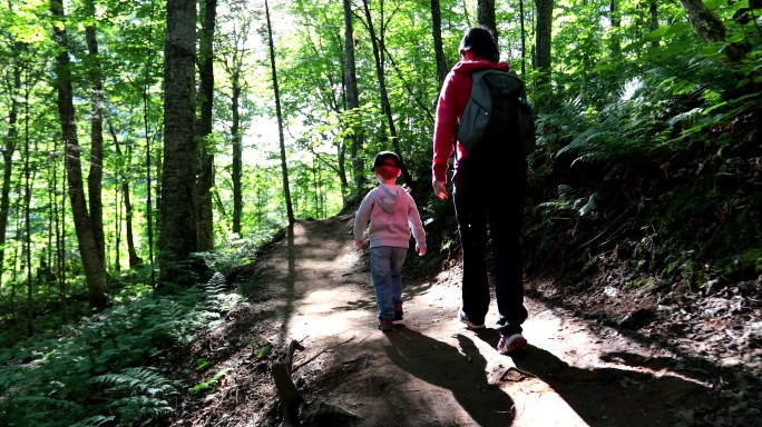 母亲和儿子夏天在森林里徒步旅行