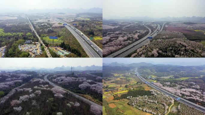 4K航拍贵州贵安唯美樱花最美高速公路