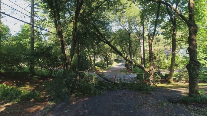 警方的路障胶带标出了封闭的道路