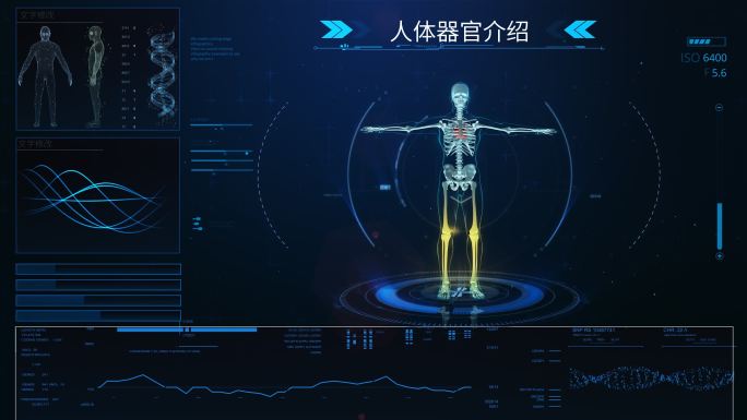 hud人体界面展示介绍