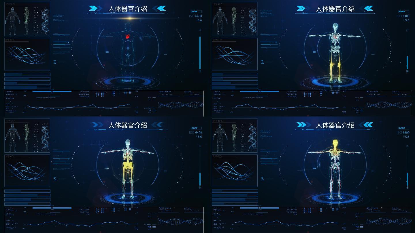 hud人体界面展示介绍